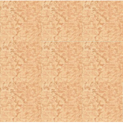 Carreaux 40 X 40 WK40051