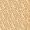 Carreaux 60 X 60 WK60015