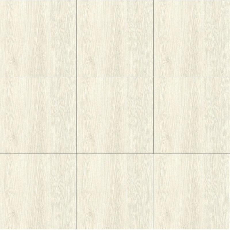 Carrelage de sol Polished Floor 40x40 WK40306